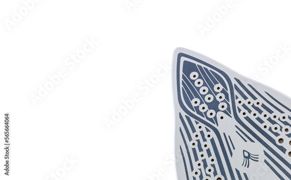 Obraz Iron sole plate