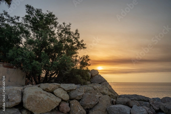 Obraz Arbol con el amanecer