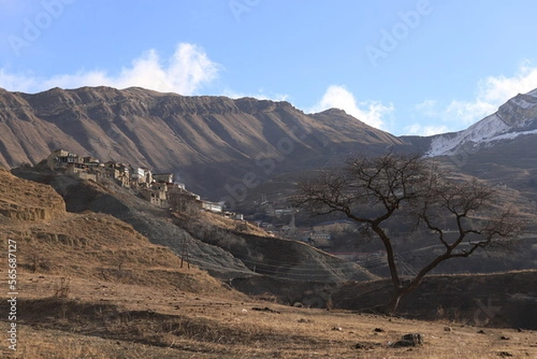 Fototapeta Dagestan village Chokh against the backdrop of mountains a tree in the foreground on a sunny winter morning.