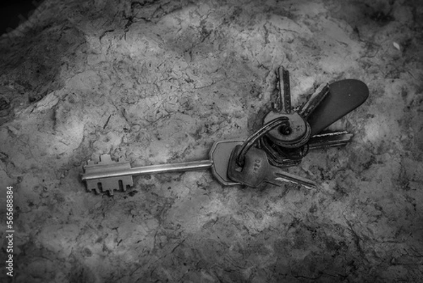 Obraz Llaves en el suelo