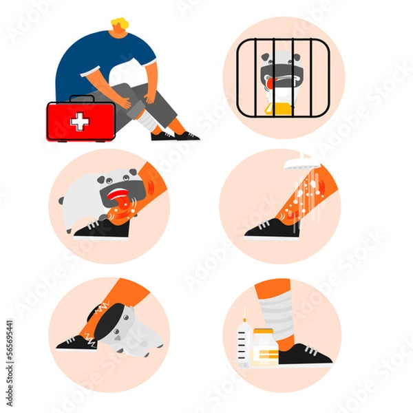 Obraz Cartoon of first aid for dog scared and bitten.