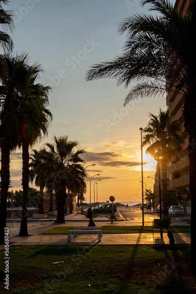 Fototapeta Amanecer entre palmeras