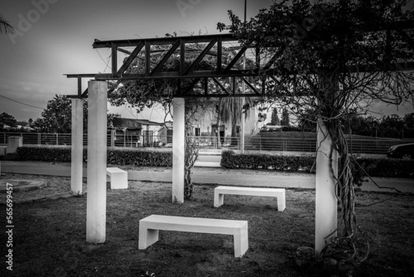 Fototapeta Bancos en parque