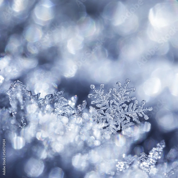 Obraz Kryształowy Las