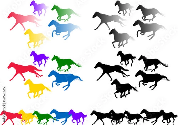 Fototapeta 馬シルエット