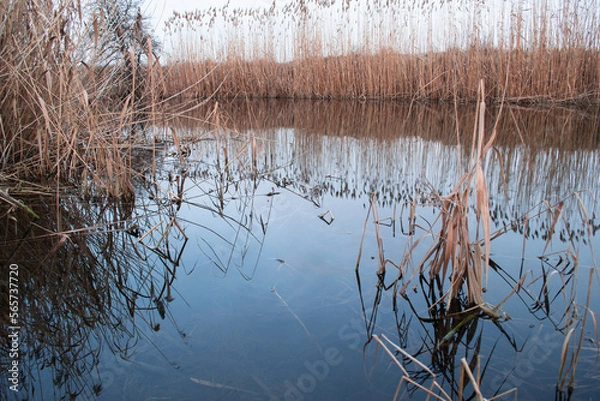 Obraz Ros Winter River, Kyiv region