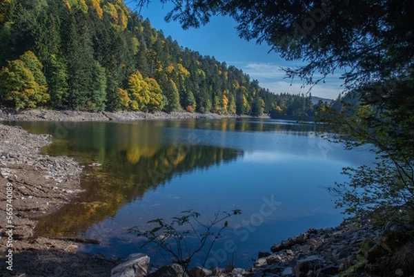 Obraz Le lac d"Altenweiher dans les Vosges en Automne - Vallée de Mittlach près de Munster