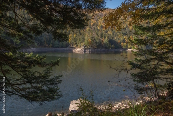 Fototapeta Le lac d"Altenweiher dans les Vosges en Automne - Vallée de Mittlach près de Munster