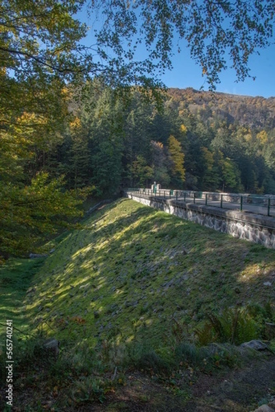 Fototapeta Le lac d"Altenweiher dans les Vosges en Automne - Vallée de Mittlach près de Munster