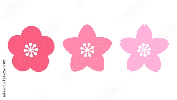 Obraz シンプルな梅桃桜のイラスト　白