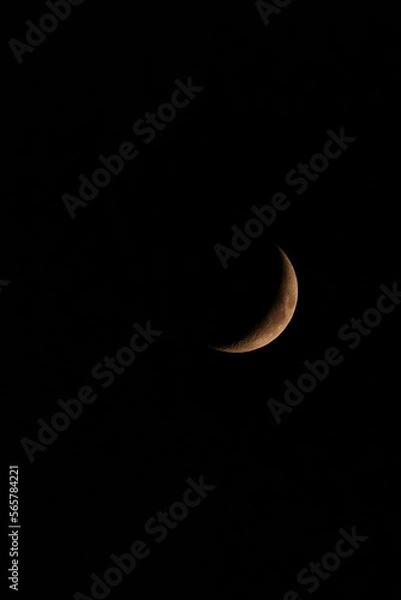 Obraz ≪縦長≫ 三日月