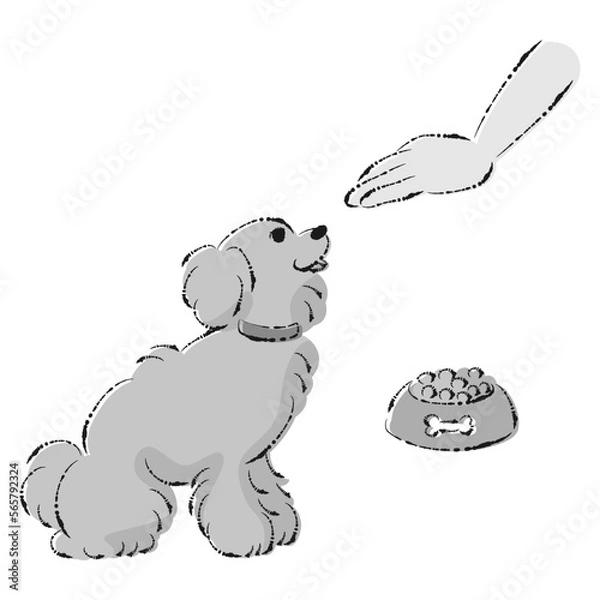 Fototapeta 待てをする犬（ごはん・しつけ）