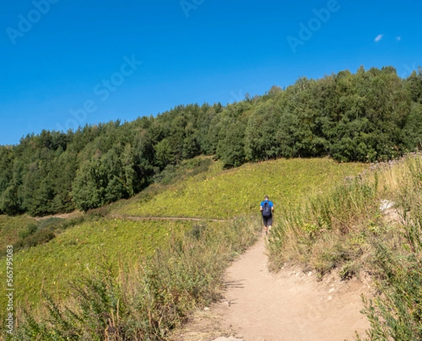 Fototapeta Tourists with a backpack goes along a mountain path. Active lifestyle walking in the mountains with a backpack.