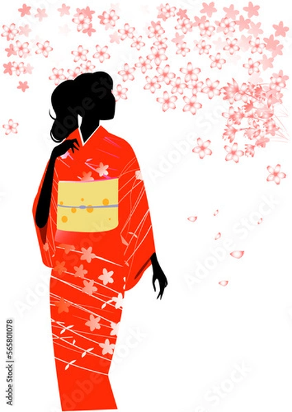 Fototapeta 着物を着た女性のシルエットと桜の花