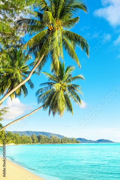 Fototapeta Beautiful tropical island sea beach landscape, turquoise ocean water, yellow sand, sun blue sky white cloud, green coconut palm tree leaves, paradise nature, summer holidays, vacation, tourism, travel
