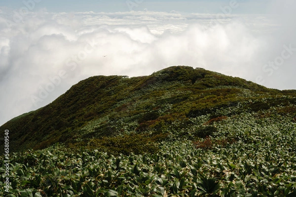 Fototapeta 平標山　仙ノ倉山