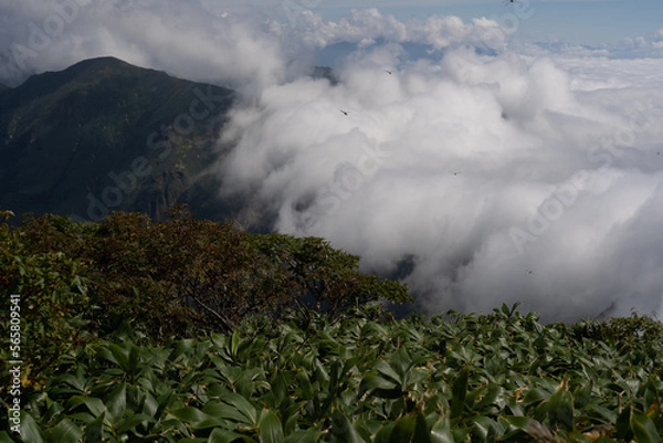 Obraz 平標山　仙ノ倉山