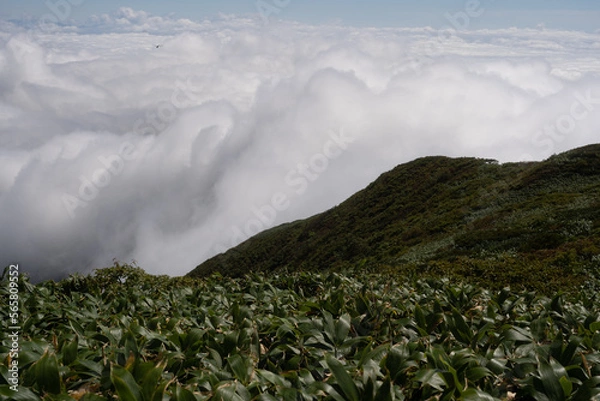 Obraz 平標山　仙ノ倉山