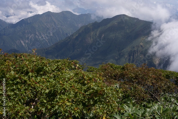 Obraz 平標山　仙ノ倉山