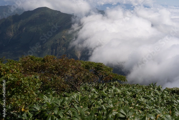 Obraz 平標山　仙ノ倉山