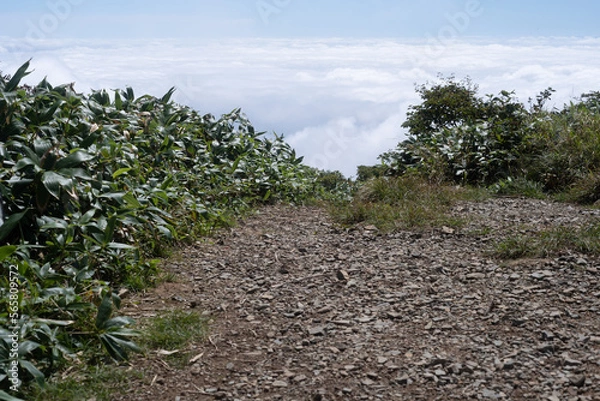 Obraz 平標山　仙ノ倉山