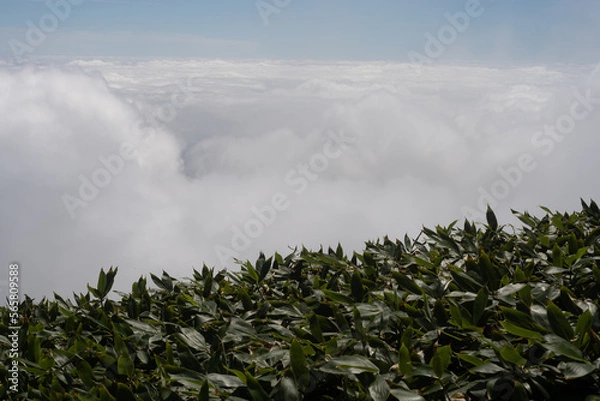 Obraz 平標山　仙ノ倉山