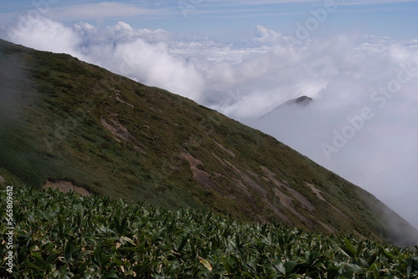 Obraz 平標山　仙ノ倉山