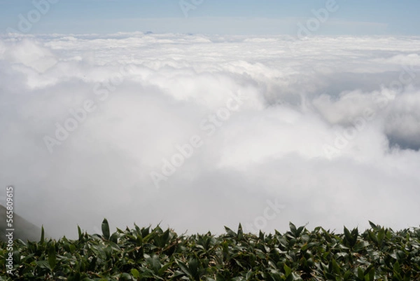 Obraz 平標山　仙ノ倉山