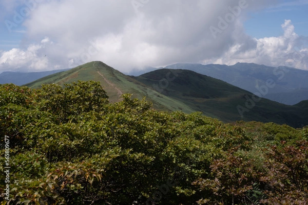 Obraz 平標山　仙ノ倉山