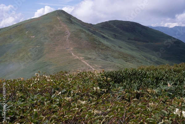 Obraz 平標山　仙ノ倉山