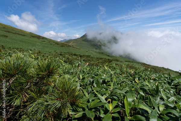 Obraz 平標山登山