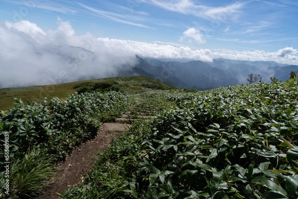 Obraz 平標山登山