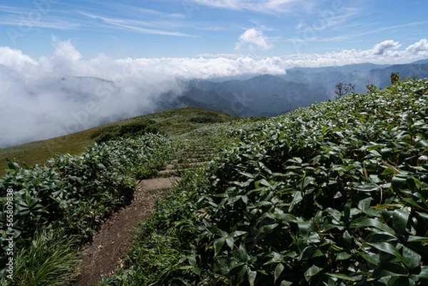 Obraz 平標山登山