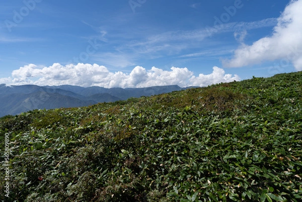 Obraz 平標山登山