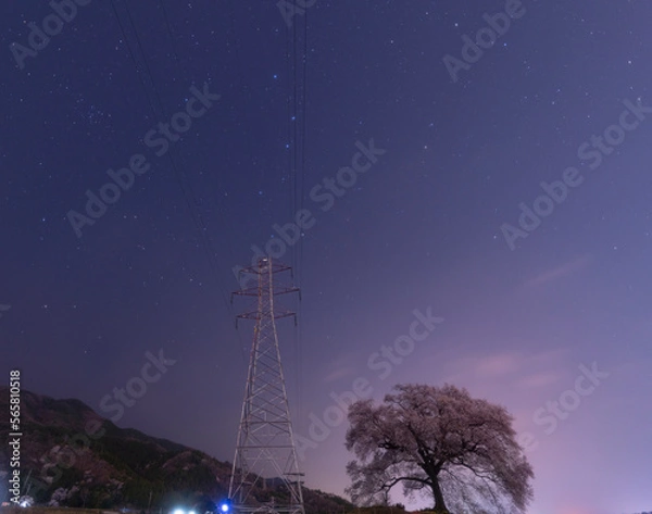 Obraz わに塚の一本桜と星空