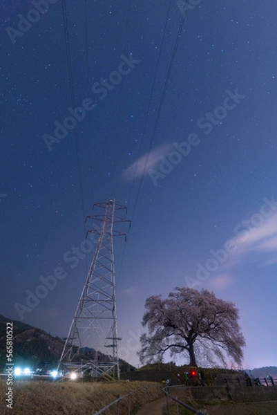 Obraz わに塚の一本桜と星空