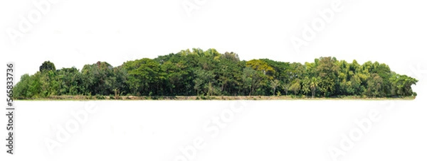 Obraz Group of tree. Green treeline isolated on white background.