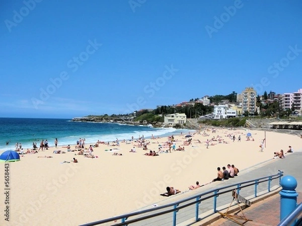 Obraz Plaża Coogee