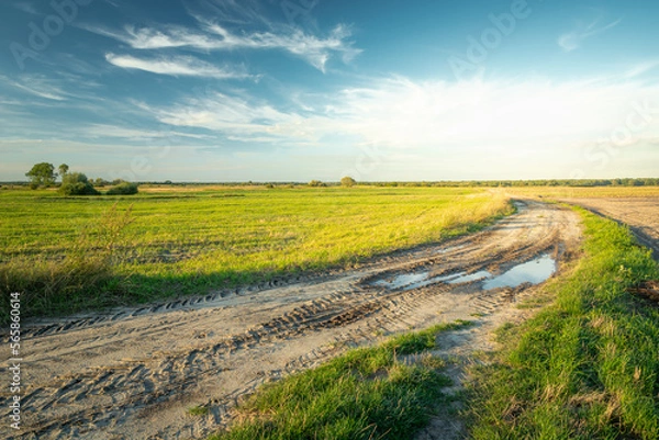 Fototapeta Sandy road with a puddle through rural fields and white clouds on the sky, Czulczyce, Poland