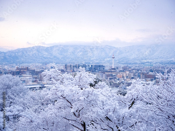 Obraz 真っ白に雪化粧した京都市街地と京都タワー