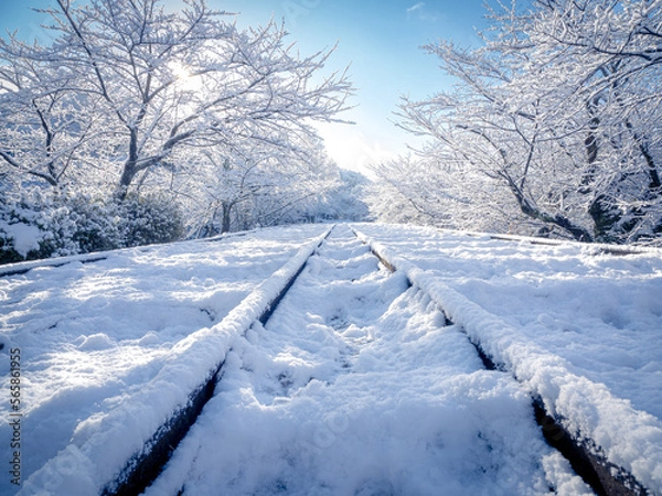 Obraz 雪が積もる蹴上インクラインの絶景