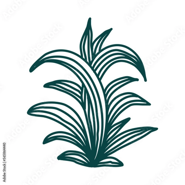 Obraz Hand drawn floral composition. Doodle leaves. Vector art. Botanical element for decoration.