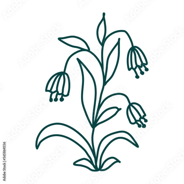 Obraz Hand drawn floral composition. Doodle flowers. Vector art. Botanical element for decoration.