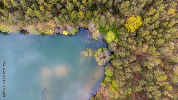 Obraz Wasser und Wald