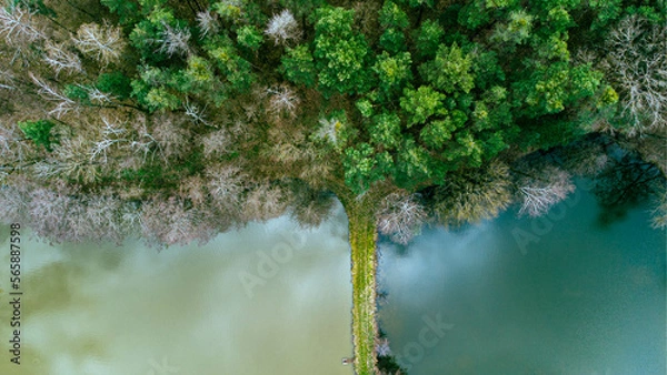 Obraz Wasser und Wald