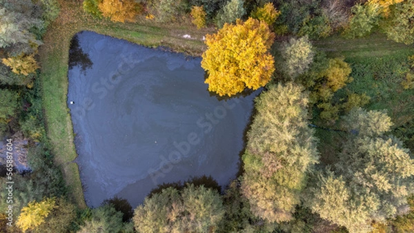 Obraz Wasser und Wald