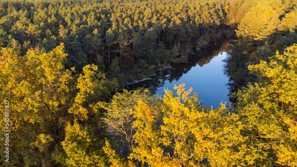 Obraz Wasser und Wald