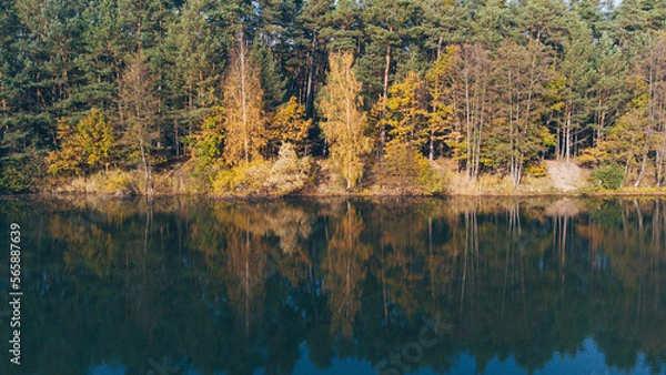 Obraz Wasser und Wald