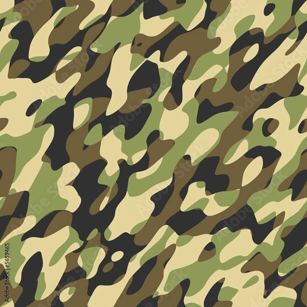 Obraz camouflage