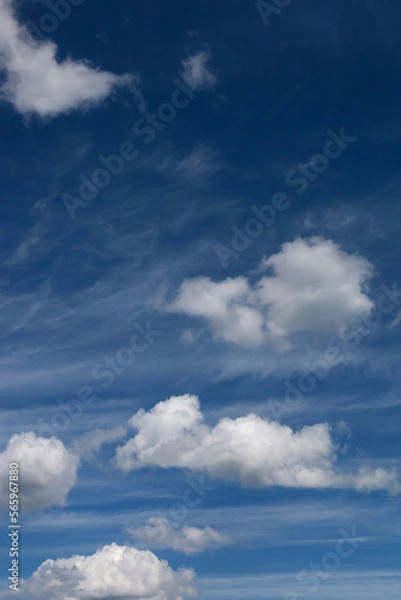 Obraz Blue sky with clouds. Spring or summer background. 
White clouds on the blue sky have a complex pattern.

